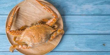 Crab – Semnificația Și Simbolismul Viselor 102