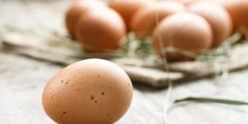 Ouă – Semnificația Și Simbolismul Viselor 15