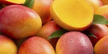 Mango – Semnificația Și Simbolismul Viselor 11
