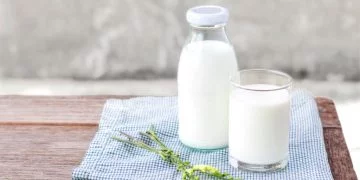 Lapte – Semnificația Și Simbolismul Viselor 24