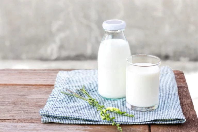 Lapte – Semnificația Și Simbolismul Viselor 1