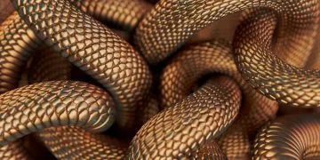 Mulți șerpi – Semnificația Și Simbolismul Viselor 90
