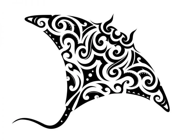Arraia Maori – Semnificația Și Simbolismul Viselor 1
